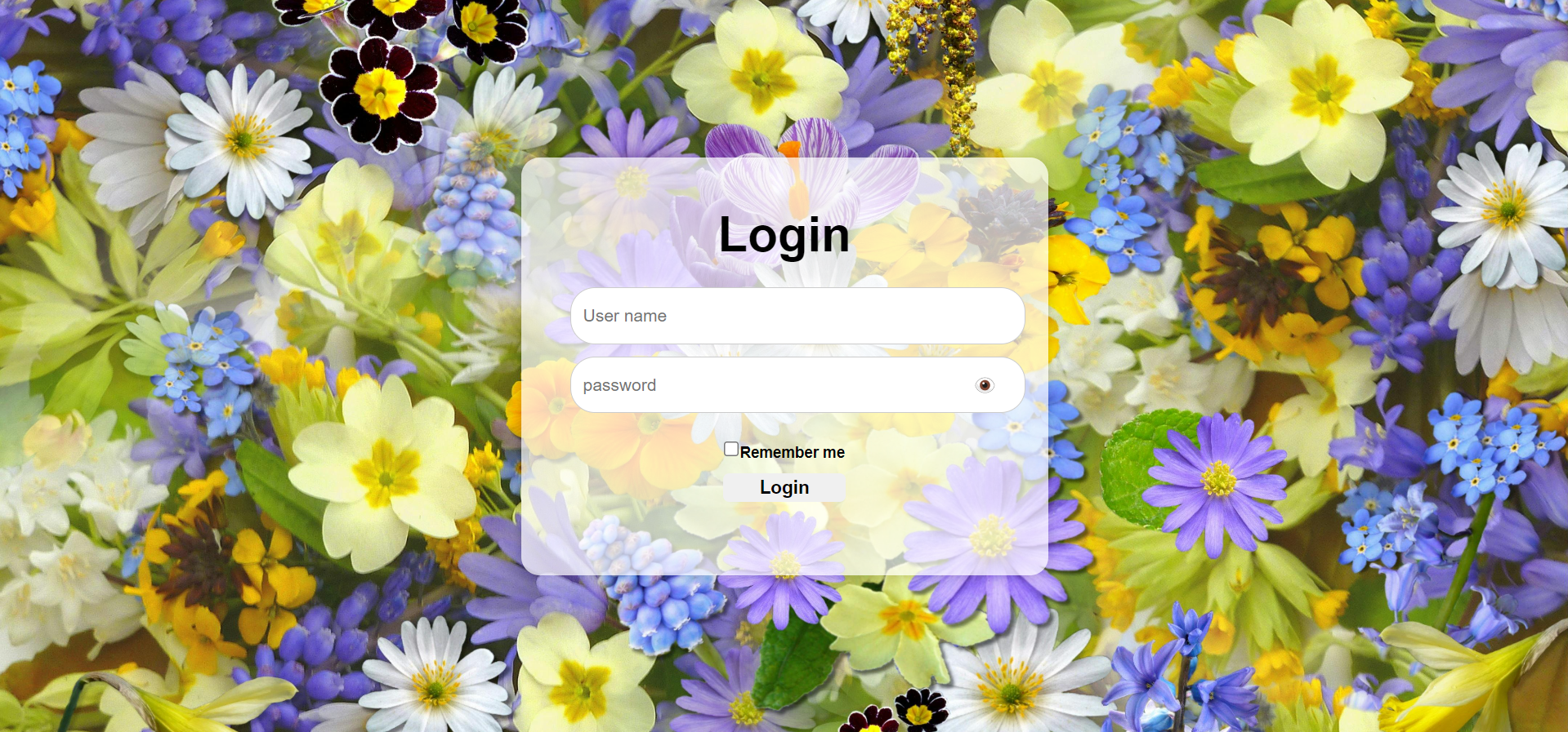 Login Page:A clean and modern login interface focused on user-friendly experience and easy interaction with input fields.